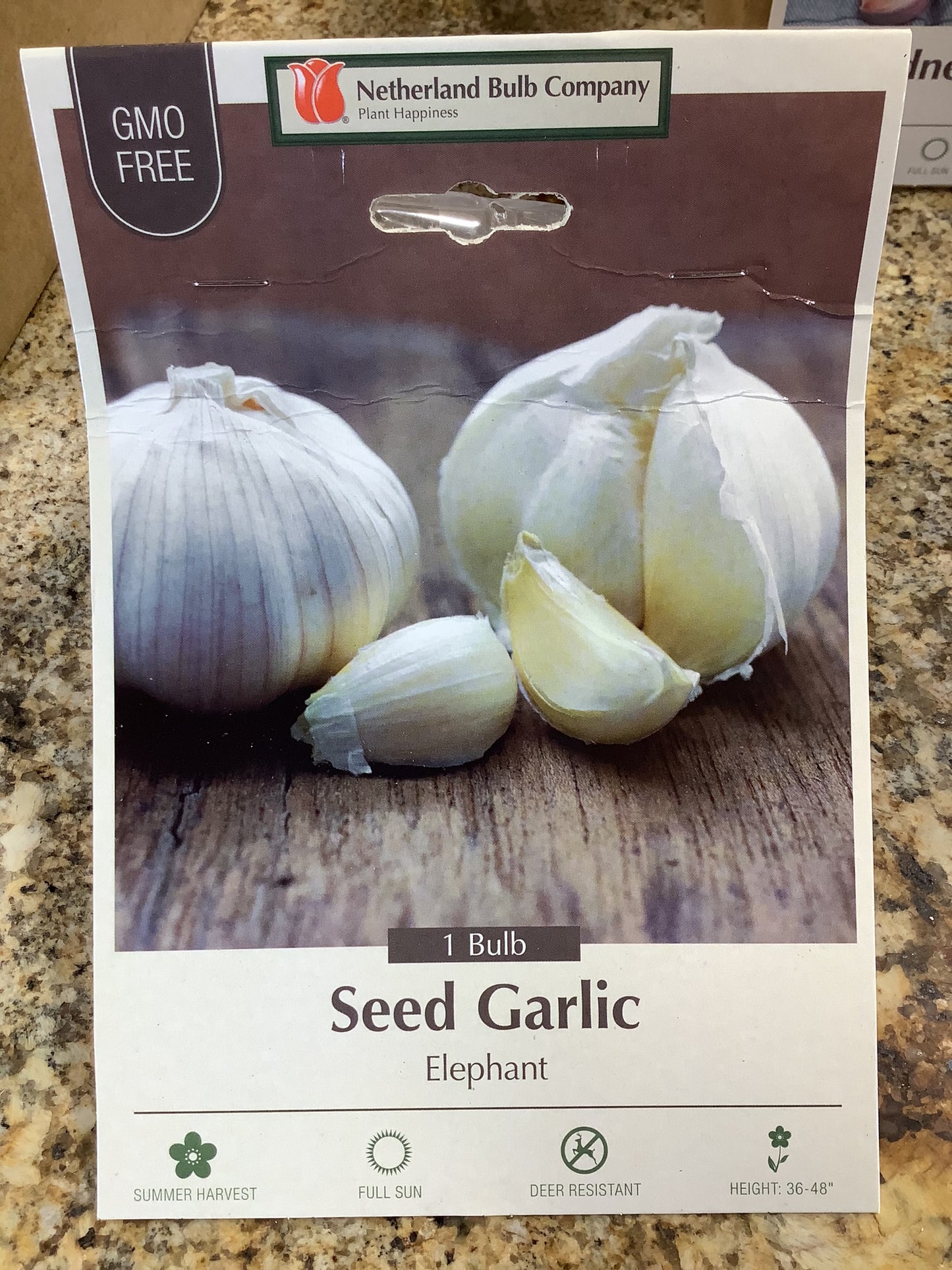 SEED GARLIC ELPHANT