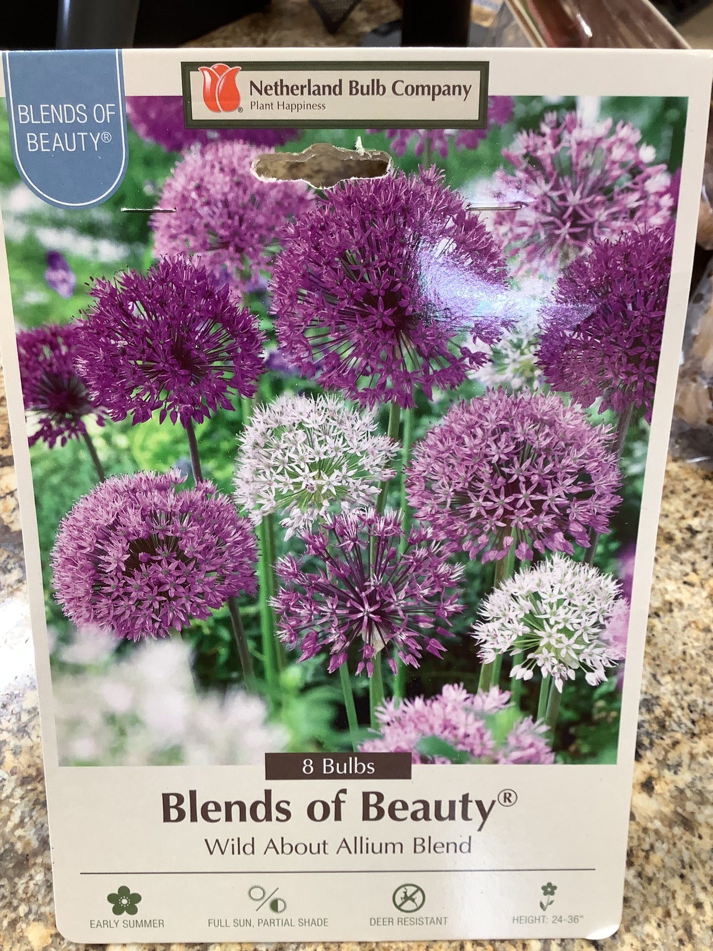 BLENDS OF BEAUTY WILD ABOUT ALLIUM BLEND