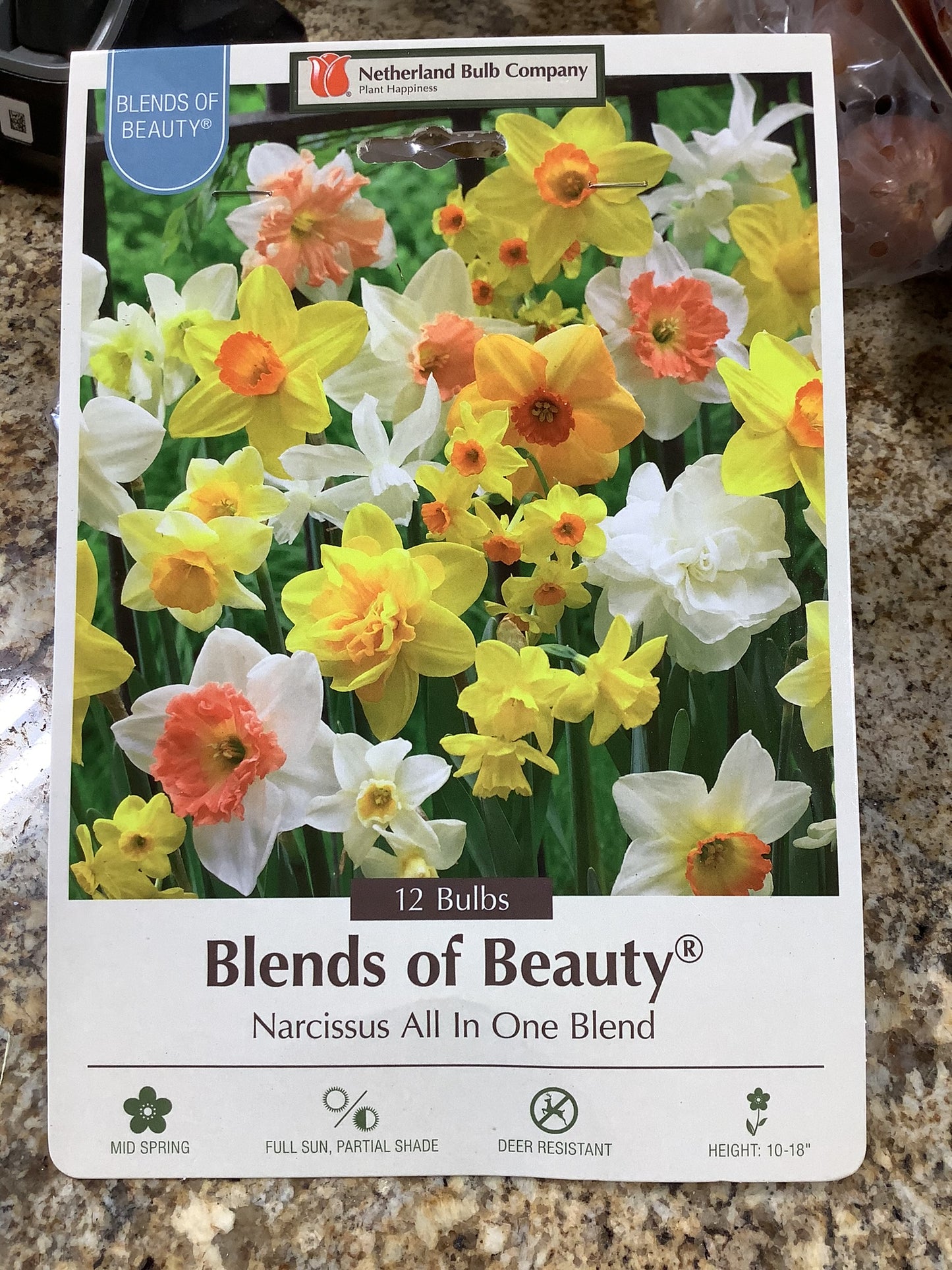 BLENDS OF BEAUTY NARCISSUS ALL IN ONE BLEND