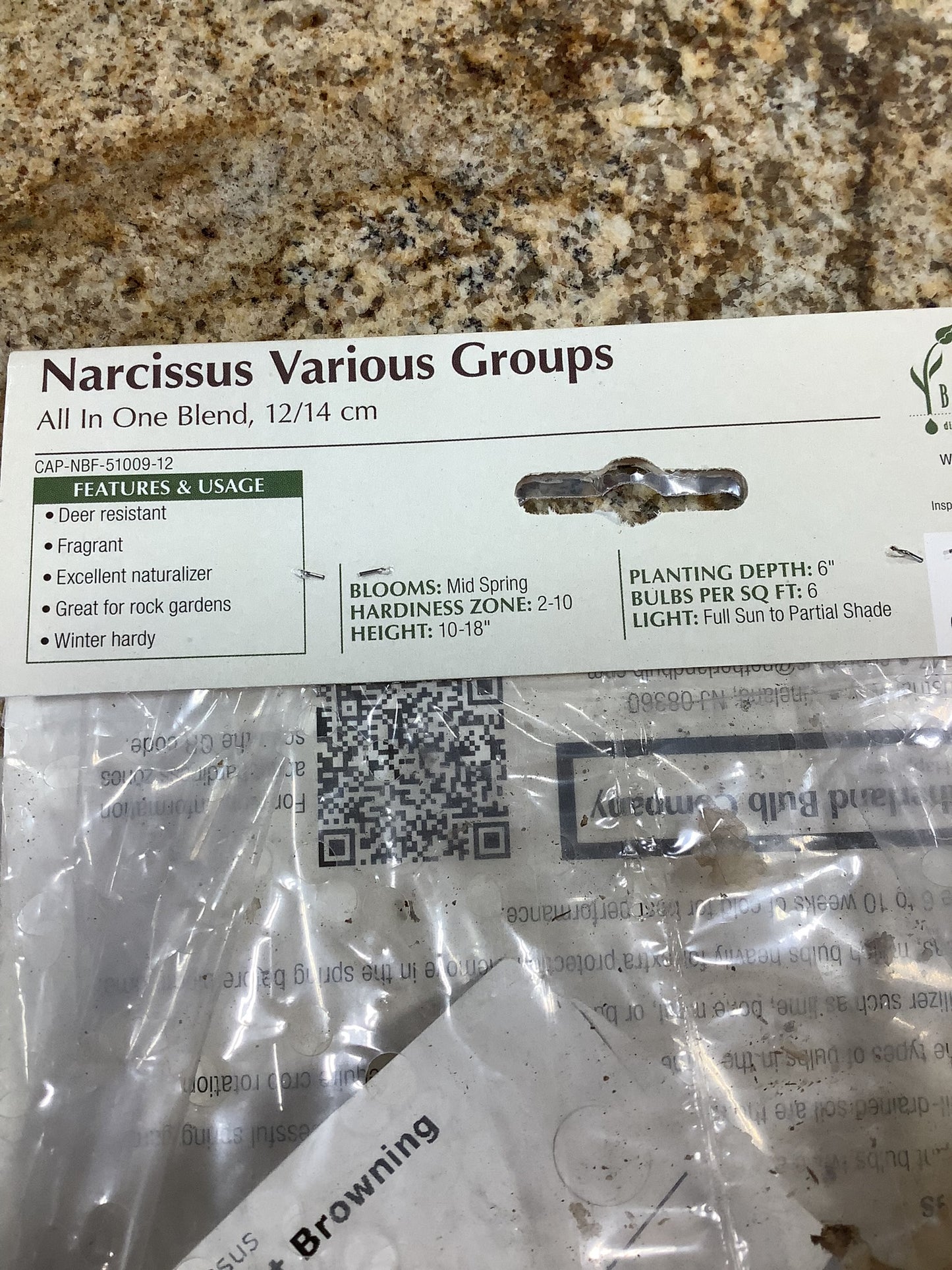 BLENDS OF BEAUTY NARCISSUS ALL IN ONE BLEND