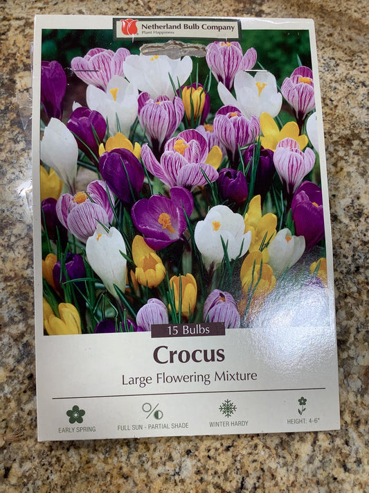 CROCUS LARGE FLOWERING MIXTURE