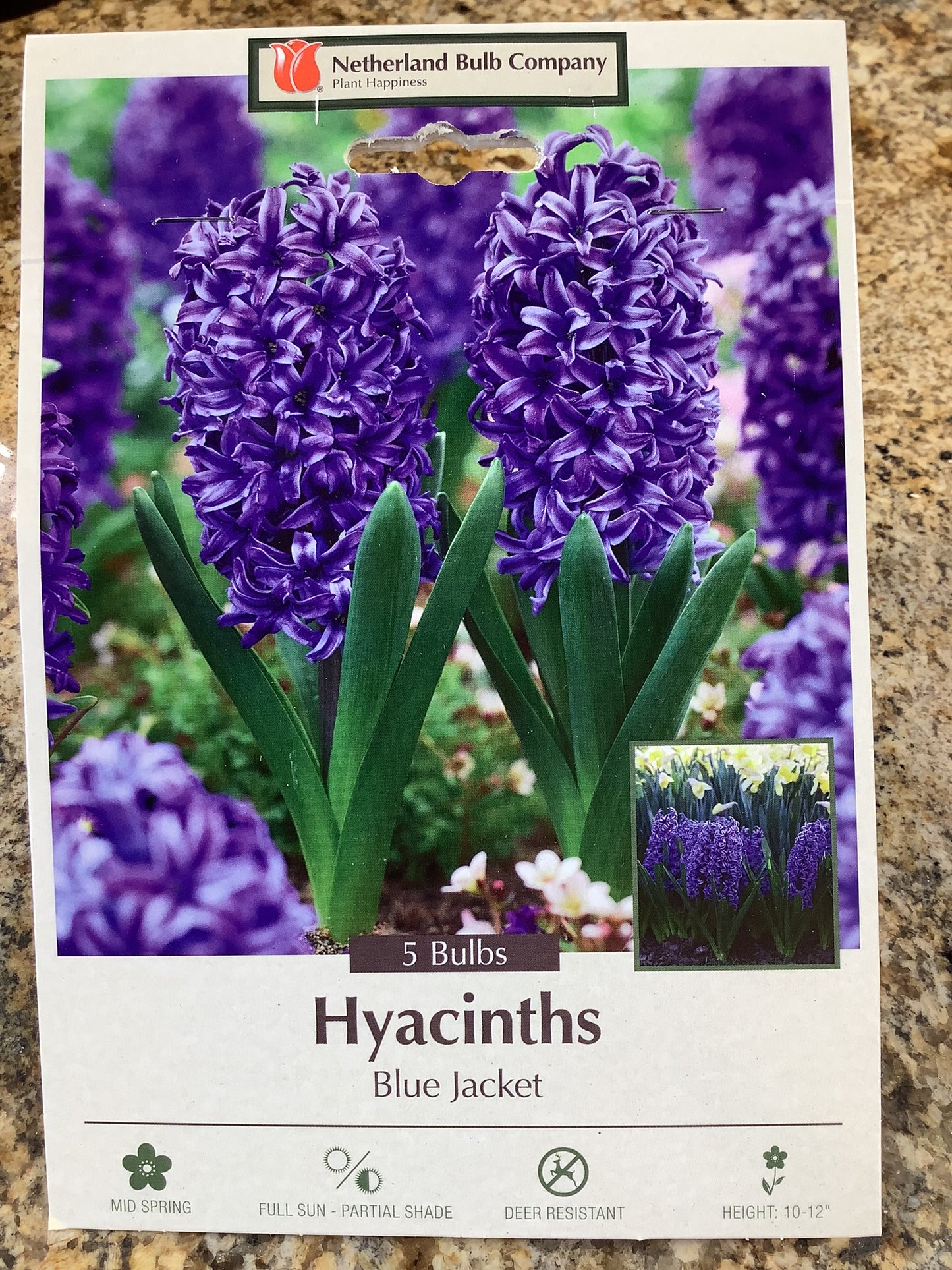 HYACINTH BLUE JACKET