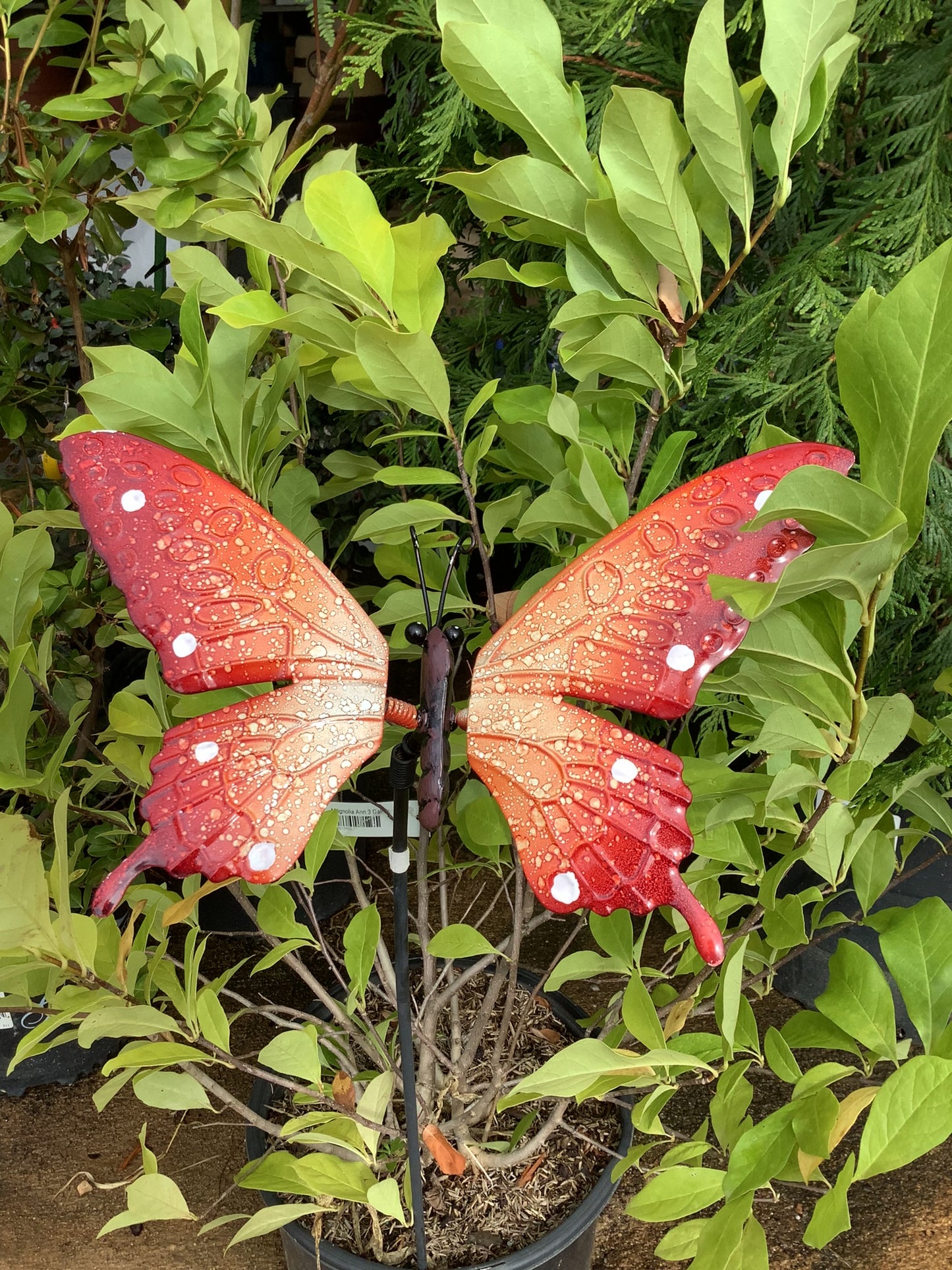 Metal Garden Stake, Butterfly