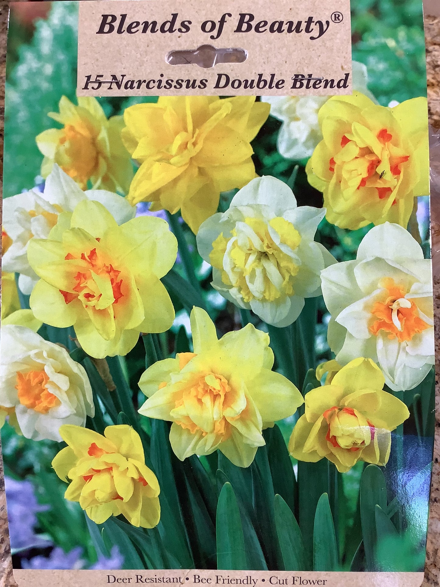 NARCISSUS DOUBLE BLEND