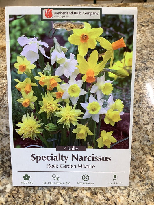 SPECIALTY NARCISSUS ROCK GARDEN MIXTURE